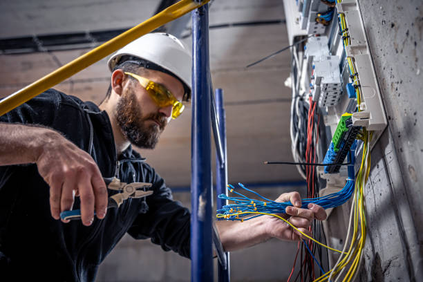 Best Electrician for Home Renovation  in Dousman, WI